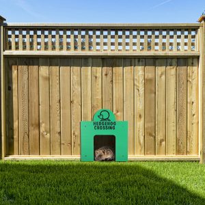 Hedgehog Highway access panels